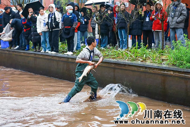 合江中学：绿栖湖抓鱼盛宴