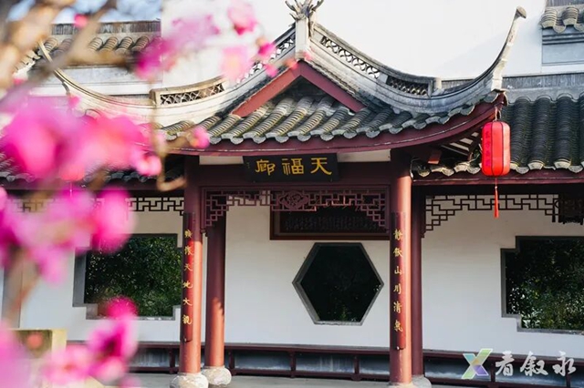 叙永新增打卡点:中华油茶庄园正式亮相(图4) 4.jpg