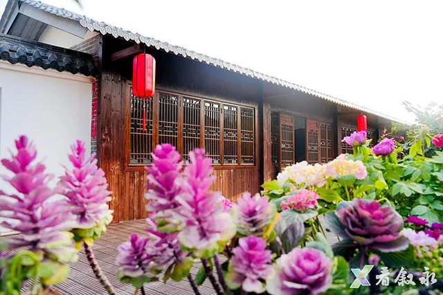 叙永新增打卡点:中华油茶庄园正式亮相(图3) 3.jpg