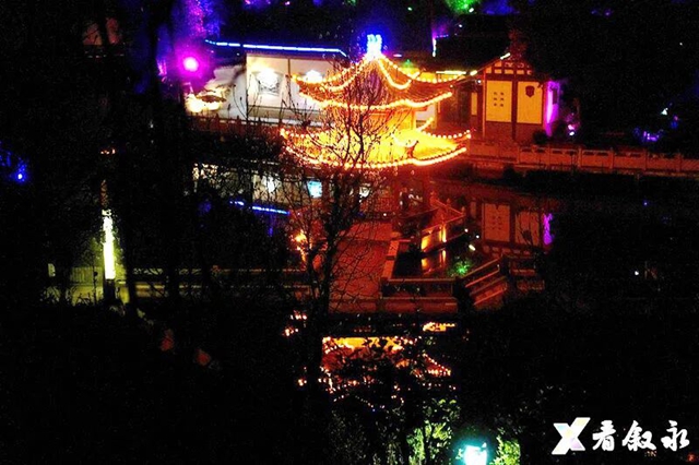 叙永新增打卡点:中华油茶庄园正式亮相(图10) 8.jpg