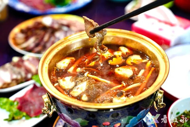 叙永新增打卡点:中华油茶庄园正式亮相(图14) 14.jpg