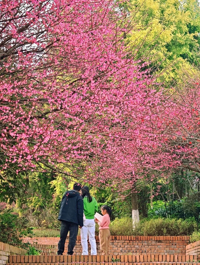 泸州的新春大片已上线,朋友圈九宫格都嫌不够放!(图12) 12.jpg