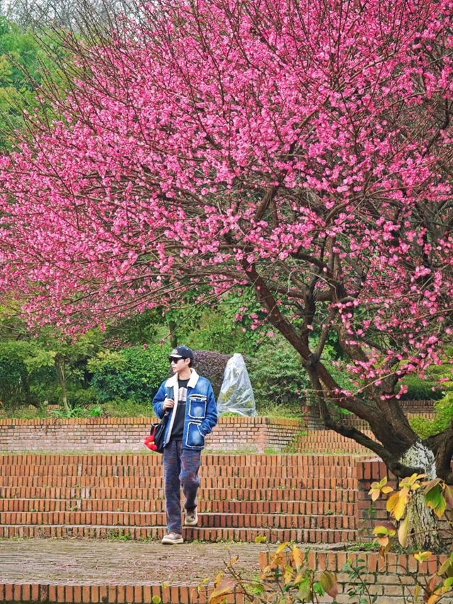 泸州的新春大片已上线,朋友圈九宫格都嫌不够放!(图10) 10.jpg