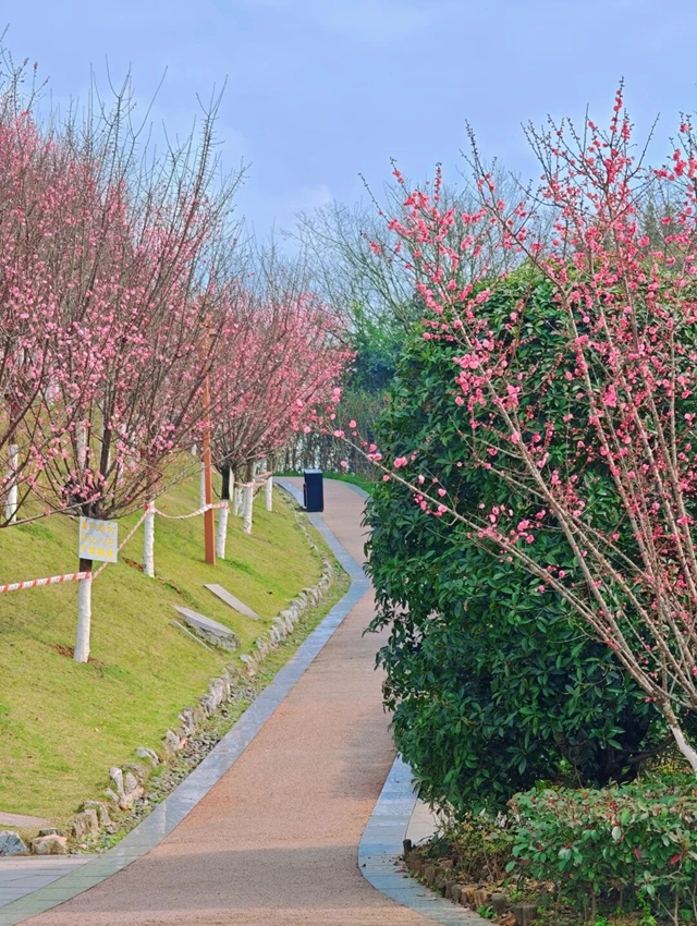 泸州的新春大片已上线,朋友圈九宫格都嫌不够放!(图14) 14.jpg