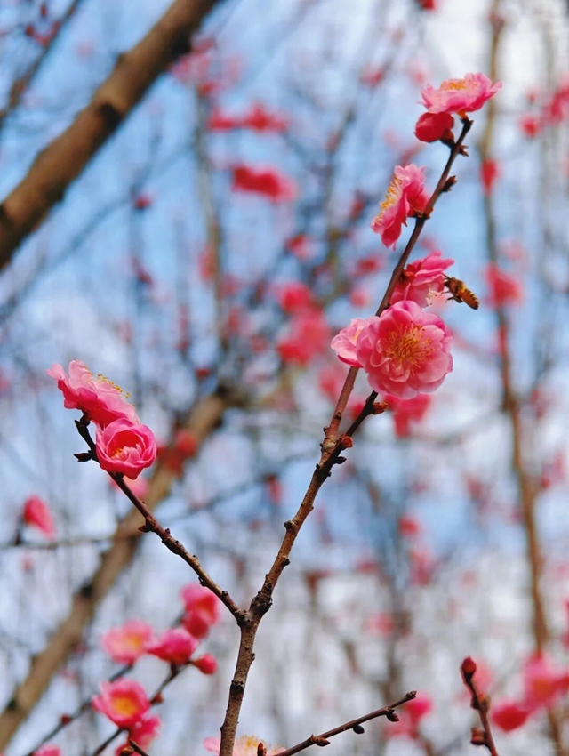 泸州的新春大片已上线,朋友圈九宫格都嫌不够放!(图13) 13.jpg