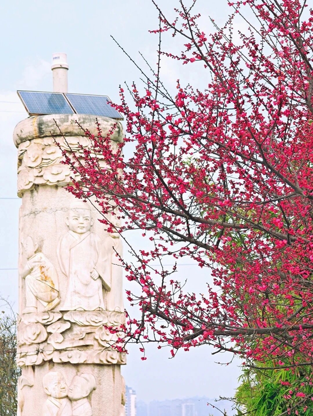 泸州的新春大片已上线,朋友圈九宫格都嫌不够放!(图17) 17.jpg