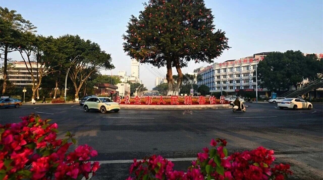 泸州这条1.5公里景观廊道来了！新春citywalk攻略马上安排