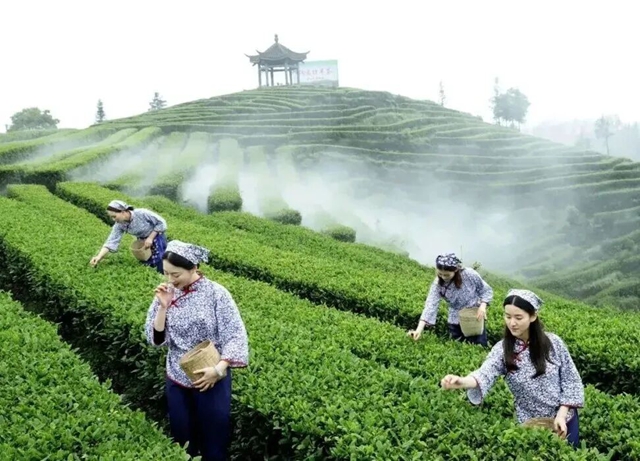 六大场景、数十项活动,泸州要你“马”上开怀!(图32) 32.jpg