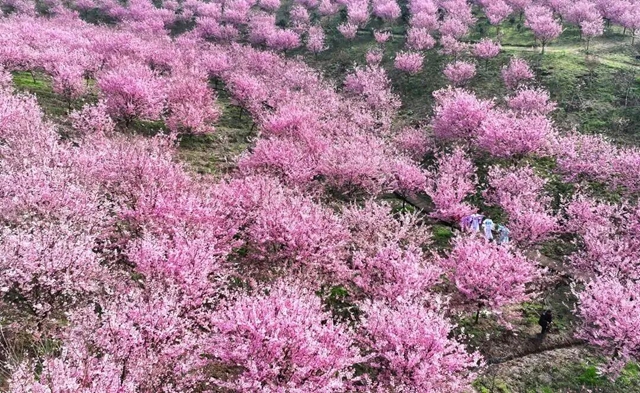 六大场景、数十项活动,泸州要你“马”上开怀!(图37) 37.jpg