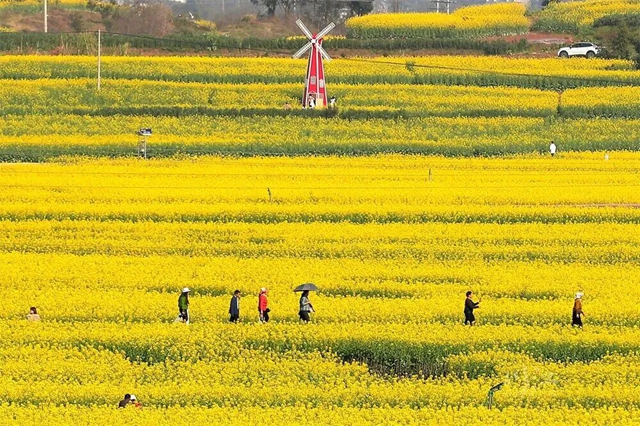 六大场景、数十项活动,泸州要你“马”上开怀!(图36) 36.jpg