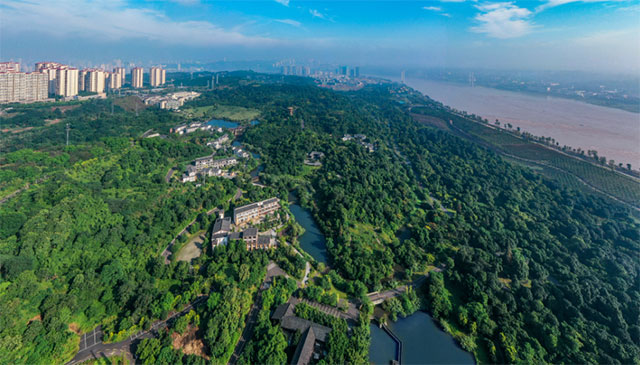 春节假期丨坐便捷公交,逛公园景区(图1) 1.jpg