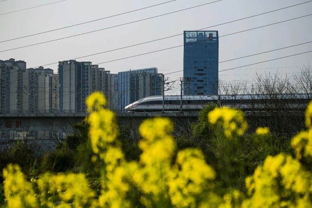 泸州油菜花迎春绽放,两大春日文旅活动邀您共赴金黄之约(图2) 2.jpg