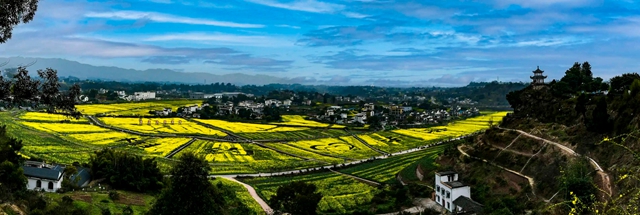 泸州油菜花迎春绽放,两大春日文旅活动邀您共赴金黄之约(图8) 8.jpg