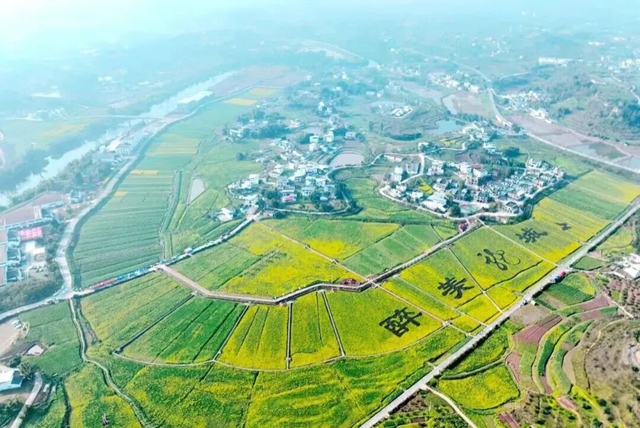 泸州油菜花迎春绽放,两大春日文旅活动邀您共赴金黄之约(图12) 12.jpg