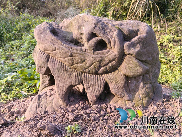 泸县潮河镇怀安河发现龙桥罗滩桥和禁止捕鱼石碑(图6) 河中打捞出来的龙头,放在桥头(曾佐然摄).jpg