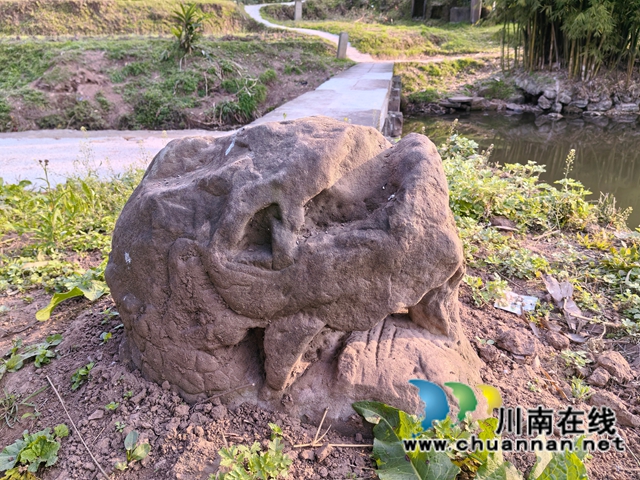 泸县潮河镇怀安河发现龙桥罗滩桥和禁止捕鱼石碑(图7) 龙头守护石桥(曾佐然摄).jpg