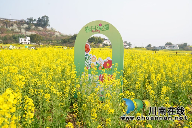 一朵菜花撬动一方振兴!泸县谭坝菜花节今日启幕,六年深耕绘就乡村新图景(图11) 11.jpg