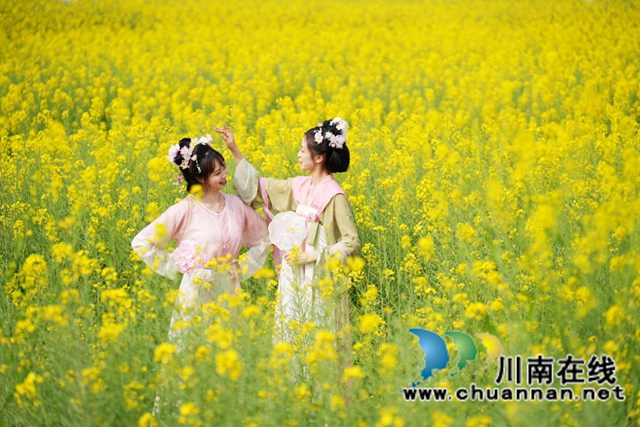一朵菜花撬动一方振兴!泸县谭坝菜花节今日启幕,六年深耕绘就乡村新图景(图13) 13.jpg