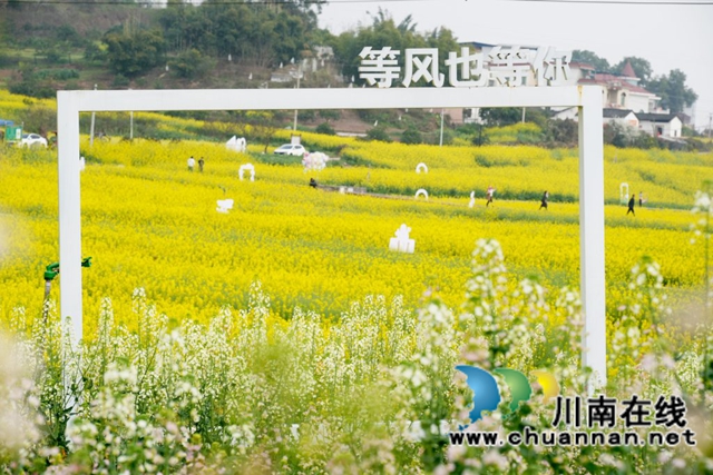 一朵菜花撬动一方振兴!泸县谭坝菜花节今日启幕,六年深耕绘就乡村新图景(图14) 14.jpg