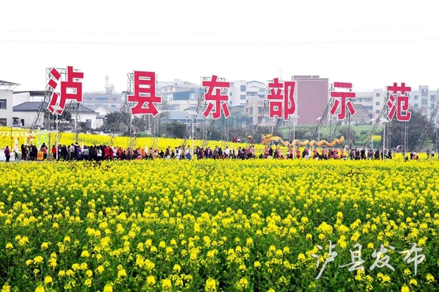 金色花海遇非遗!泸县这场春日盛宴即将启幕(图6) 6.jpg