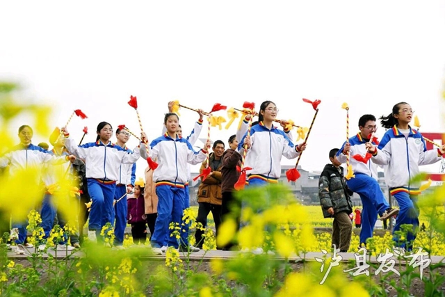 金色花海遇非遗!泸县这场春日盛宴即将启幕(图2) 2.jpg