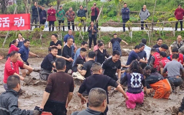 摸鱼、抓鸭、赏花、露营……周末,来双加把春天玩出新花样(图1) 1.jpg