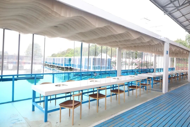 摸鱼、抓鸭、赏花、露营……周末,来双加把春天玩出新花样(图4) 4.jpg