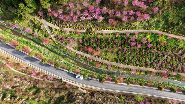 答应我,赶在周末降温前去看花!(图3) 3.jpg