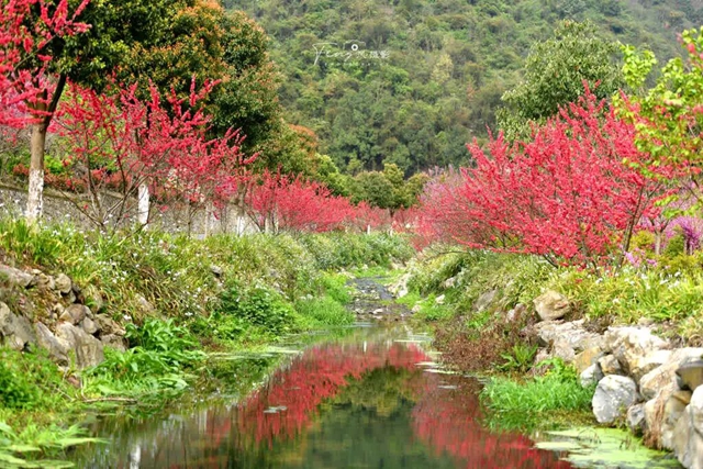 答应我,赶在周末降温前去看花!(图5) 5.jpg