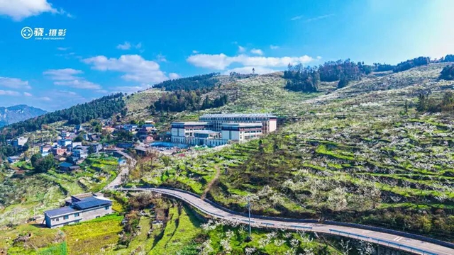 答应我,赶在周末降温前去看花!(图18) 18.jpg