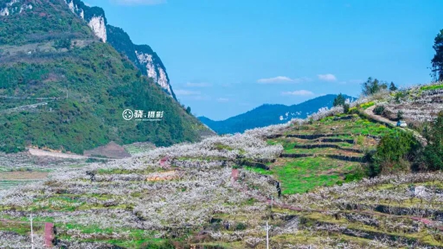 答应我,赶在周末降温前去看花!(图22) 22.jpg