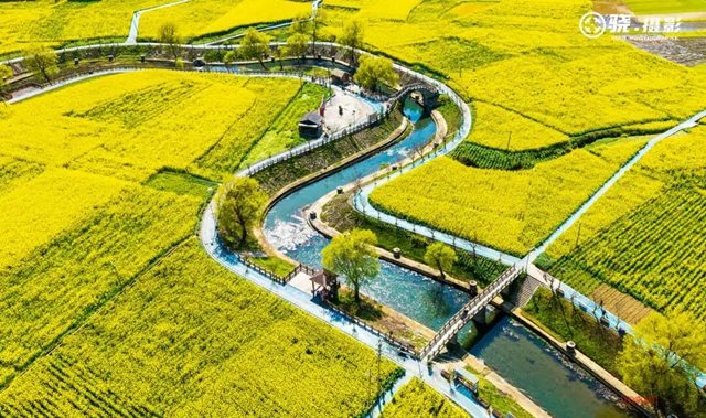 答应我,赶在周末降温前去看花!(图13) 13.jpg