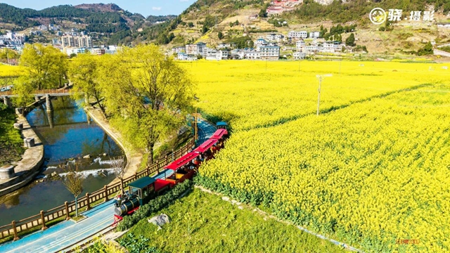 答应我,赶在周末降温前去看花!(图8) 8.jpg