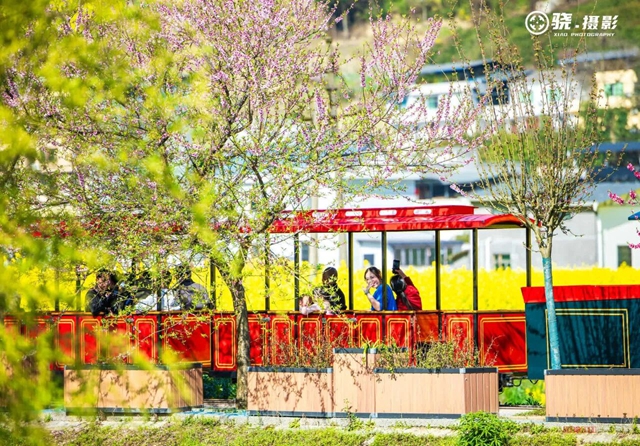 答应我,赶在周末降温前去看花!(图9) 9.jpg