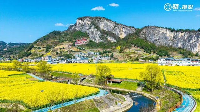 答应我,赶在周末降温前去看花!(图12) 12.jpg