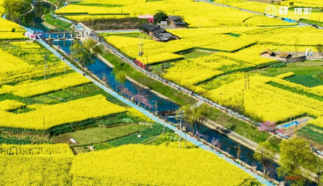 答应我,赶在周末降温前去看花!(图10) 10.jpg