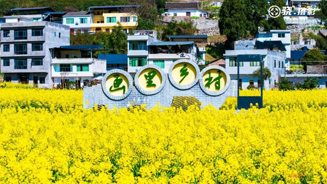 答应我,赶在周末降温前去看花!(图11) 11.jpg