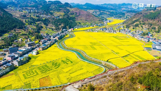 答应我,赶在周末降温前去看花!(图14) 14.jpg