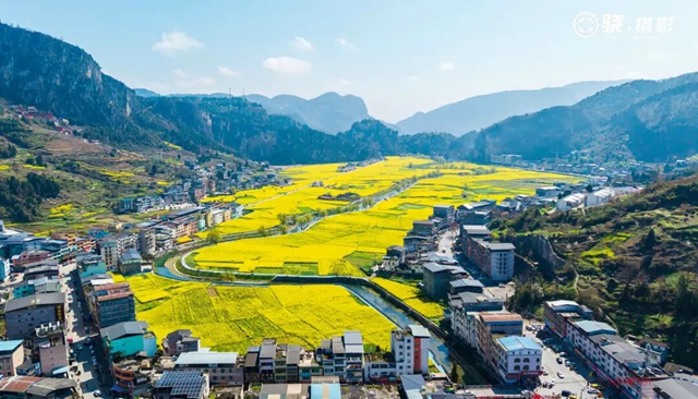 答应我,赶在周末降温前去看花!(图15) 15.jpg