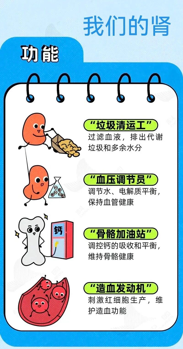 【世界肾脏日】肾好不好,看“吃喝拉撒睡”就知道(图1) 1.jpg