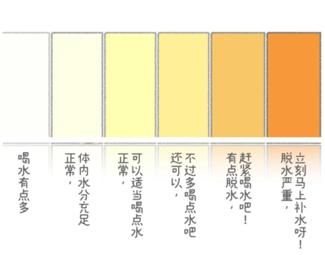 【世界肾脏日】肾好不好,看“吃喝拉撒睡”就知道(图4) 4.jpg