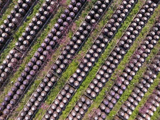 答应我,赶在周末降温前去看花!(图23) 23.jpg