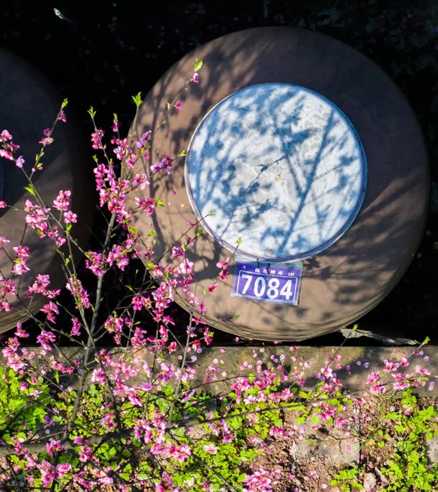 答应我,赶在周末降温前去看花!(图26) 26.jpg