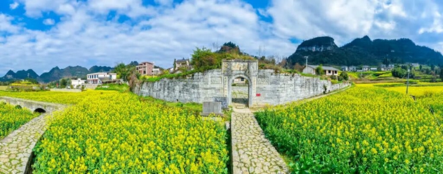 答应我,赶在周末降温前去看花!(图29) 29.jpg