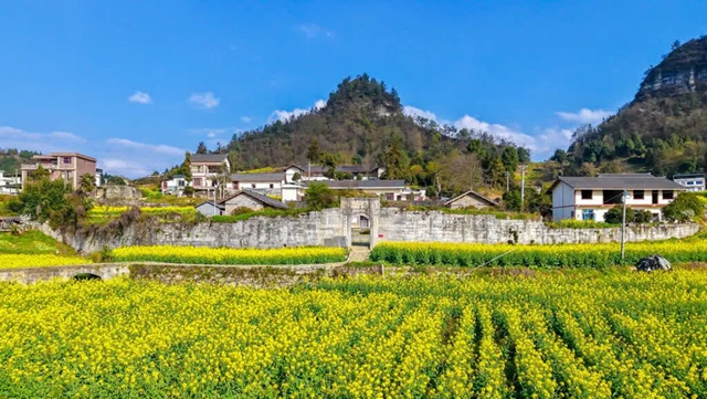 答应我,赶在周末降温前去看花!(图33) 33.jpg