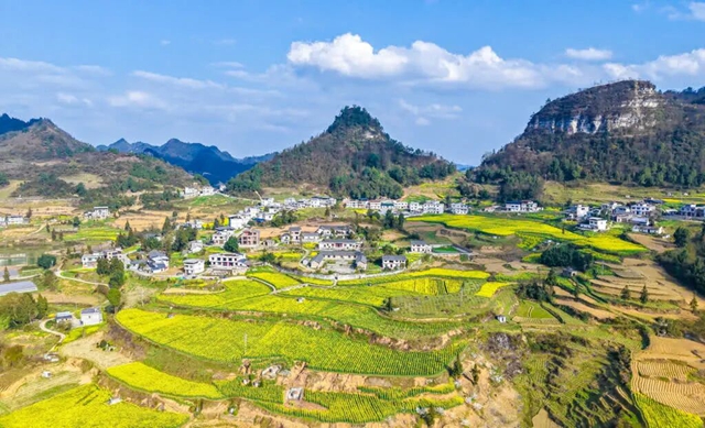 答应我,赶在周末降温前去看花!(图34) 34.jpg