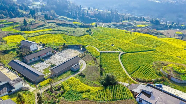 答应我,赶在周末降温前去看花!(图35) 35.jpg