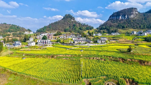 答应我,赶在周末降温前去看花!(图36) 36.jpg