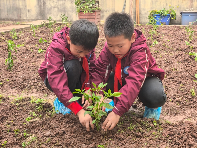 植绿、护绿、爱绿 | 泸州市教育体育系统植树节主题活动(图2) 2.jpg