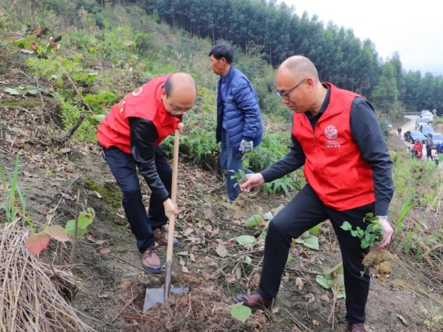 植此青绿 共“树”未来|泸县天兴镇组织开展义务植树活动(图2) 天兴2.jpg